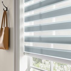 Motorized Zebra Blinds